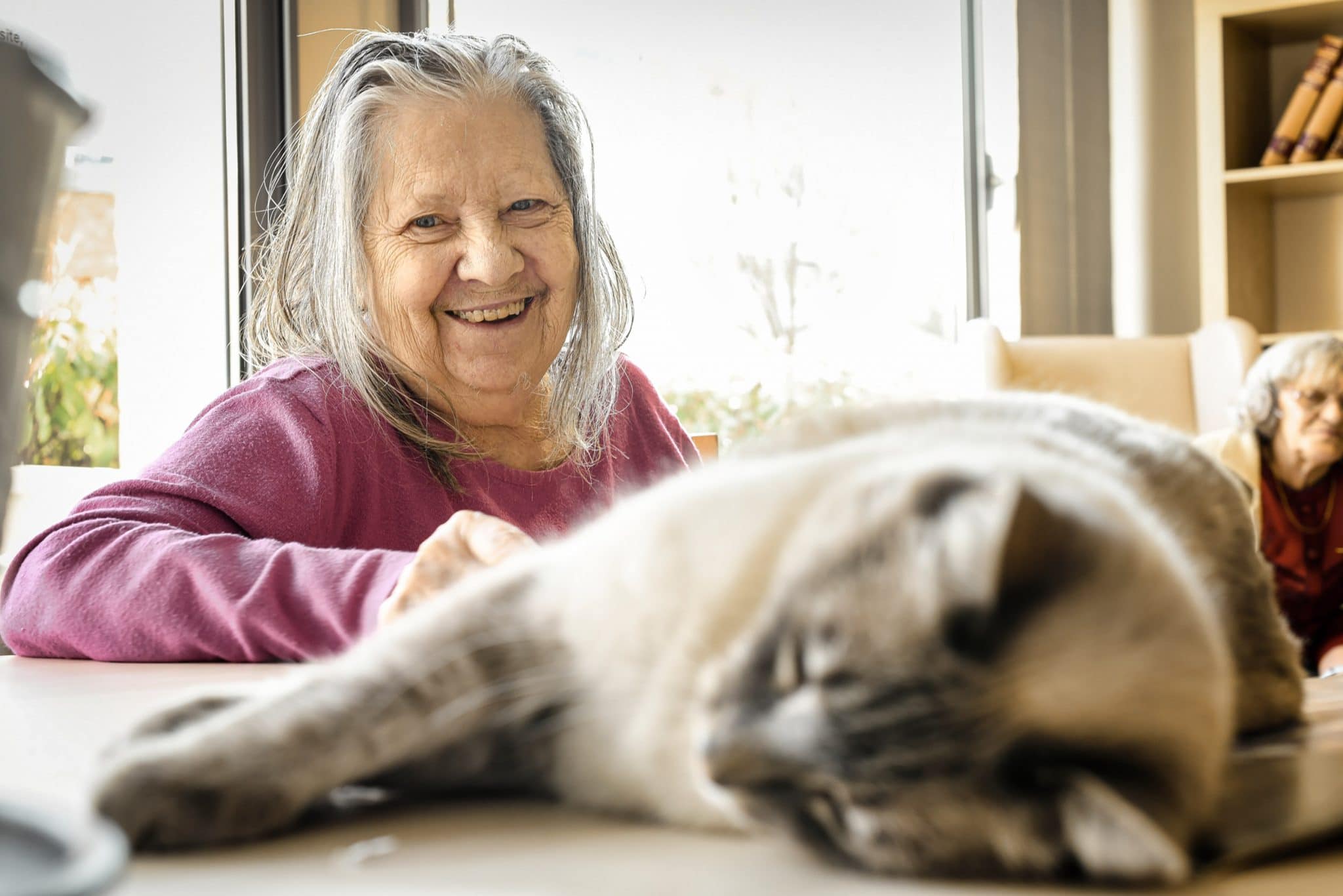 Reportage photographe en Maison de Retraite à Paris. EHPAD Fondation Aulagnier. Une résidente avec un chat.
