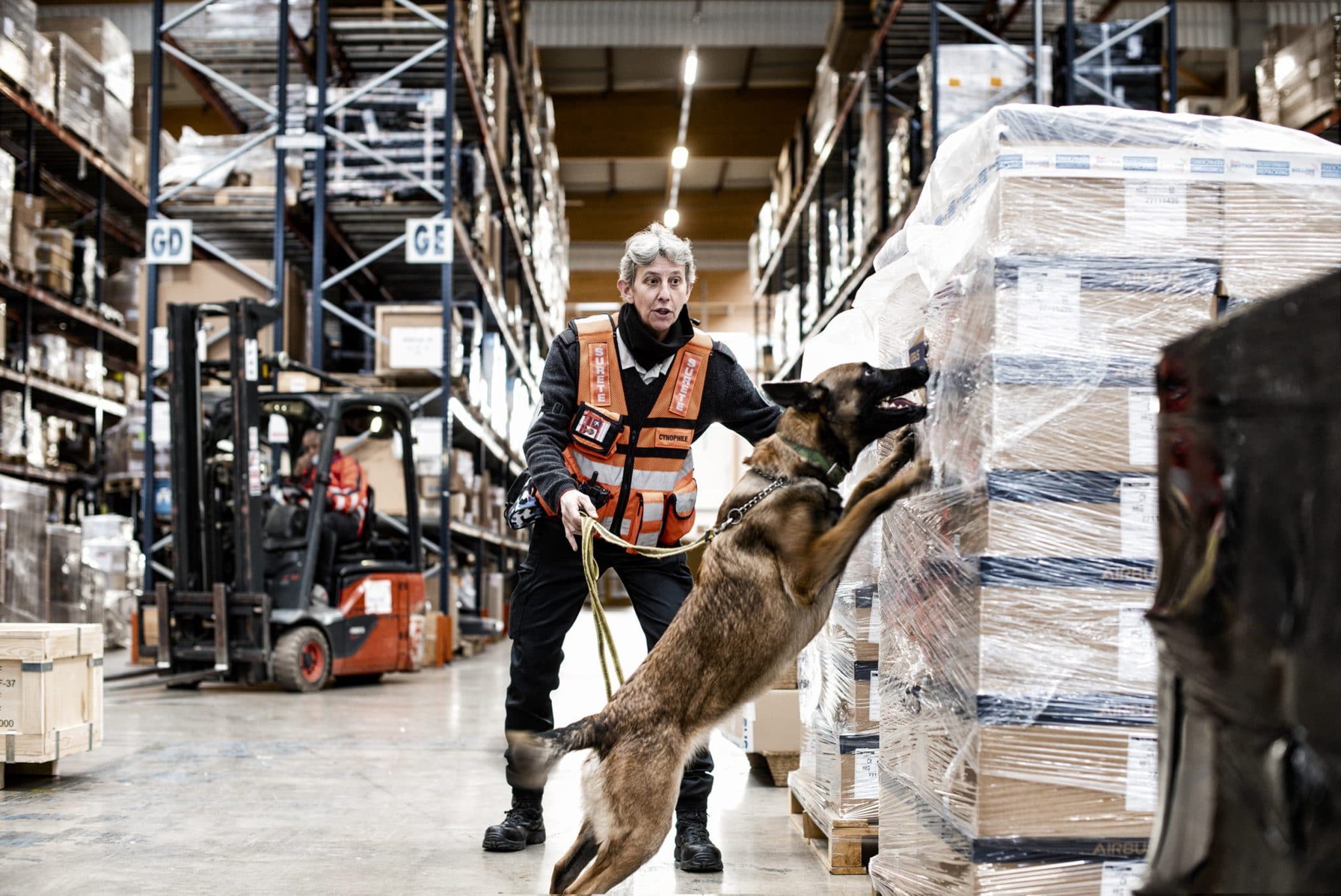 Photographe logistique et industriel à Paris. Maitre-chien. Bolloré Transport & Logistics.