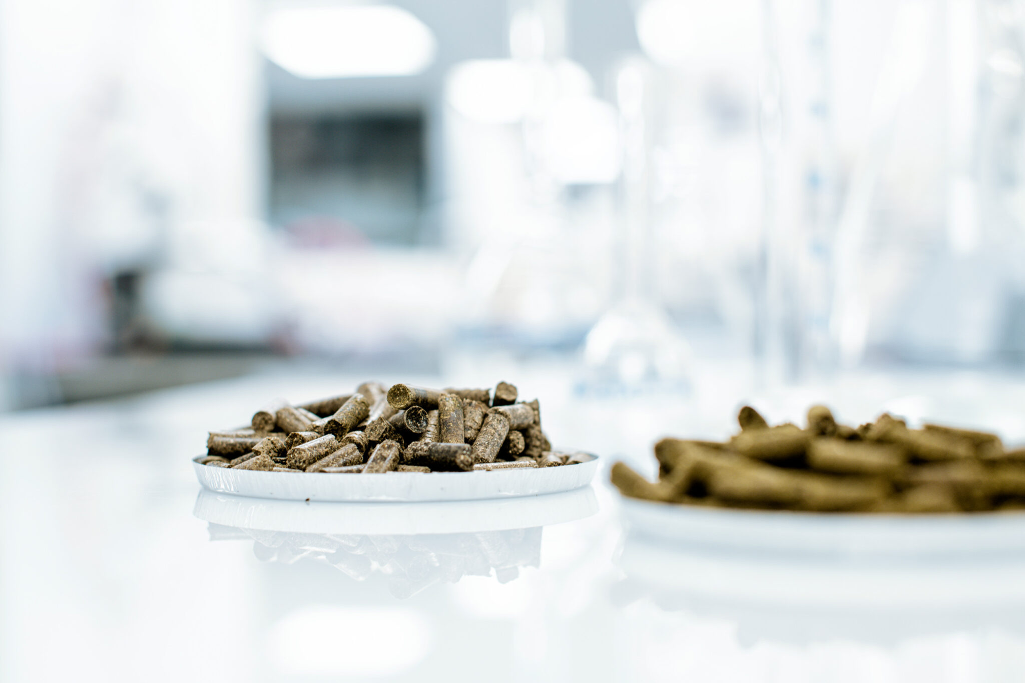 Photographe en laboratoire R&D à Paris. Evertree, solutions adhésives bio-sourcées