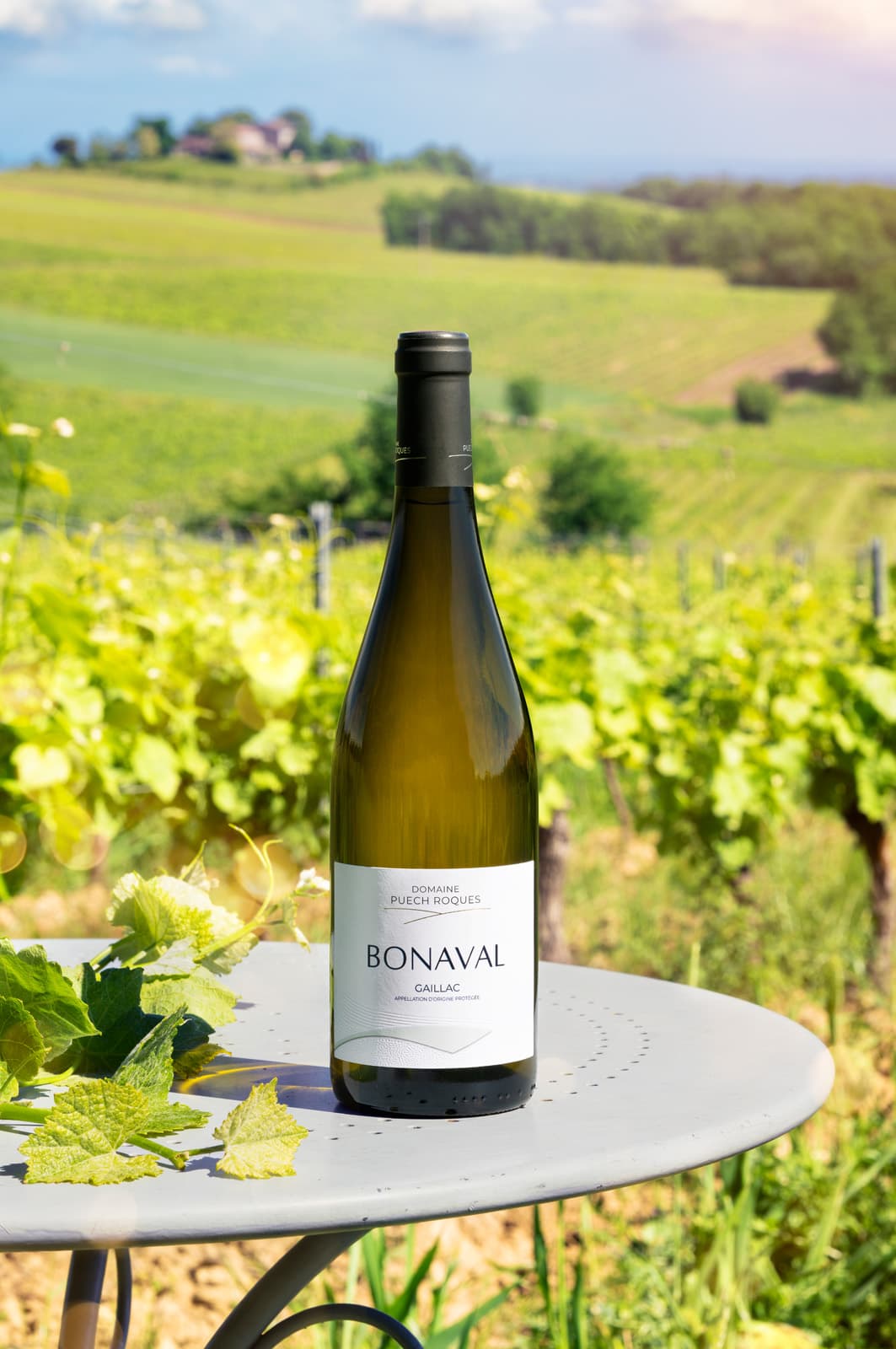 Domaine Puech Roques; Bonaval Gaillac
