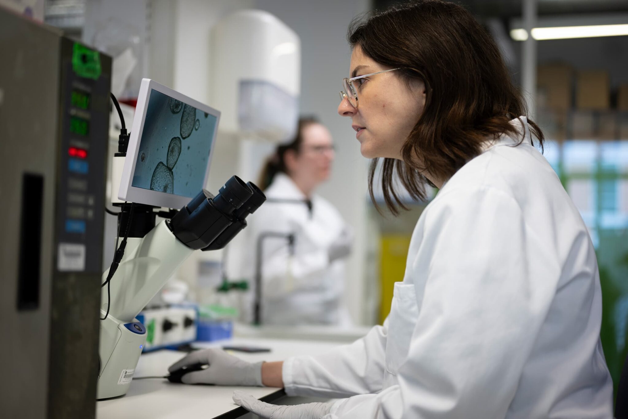 Dans les laboratoires de recherche de l'Institut Pasteur