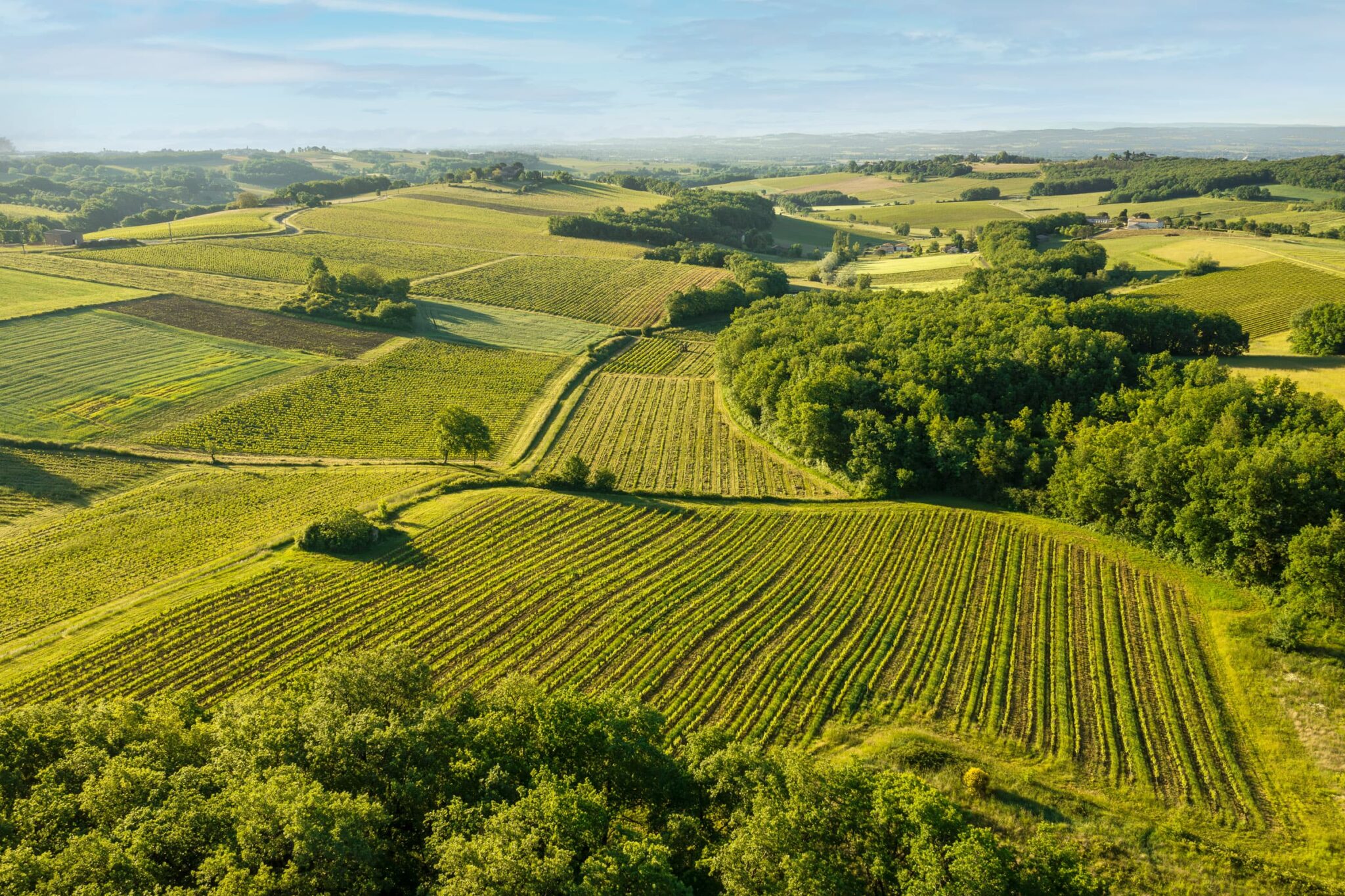 Le Domaine Puech roques vu de drone