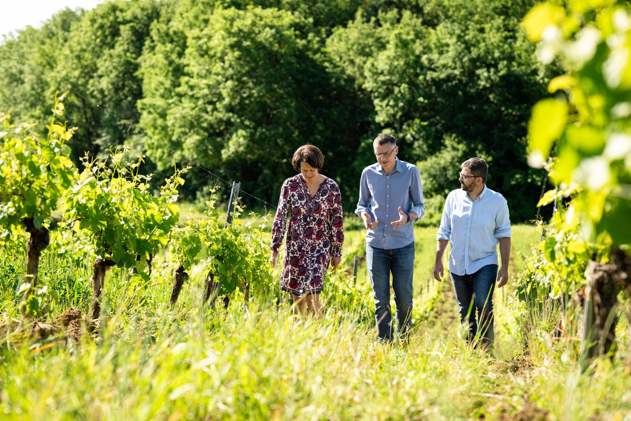 Dans les vignes du Domaine Puech Roques