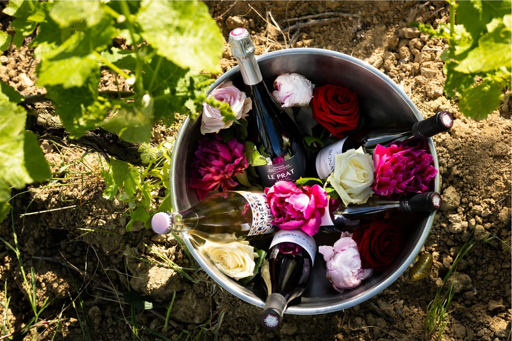 Domaine Puech Roques