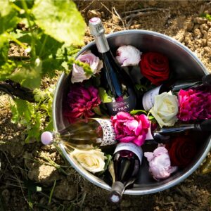 Domaine Puech Roques