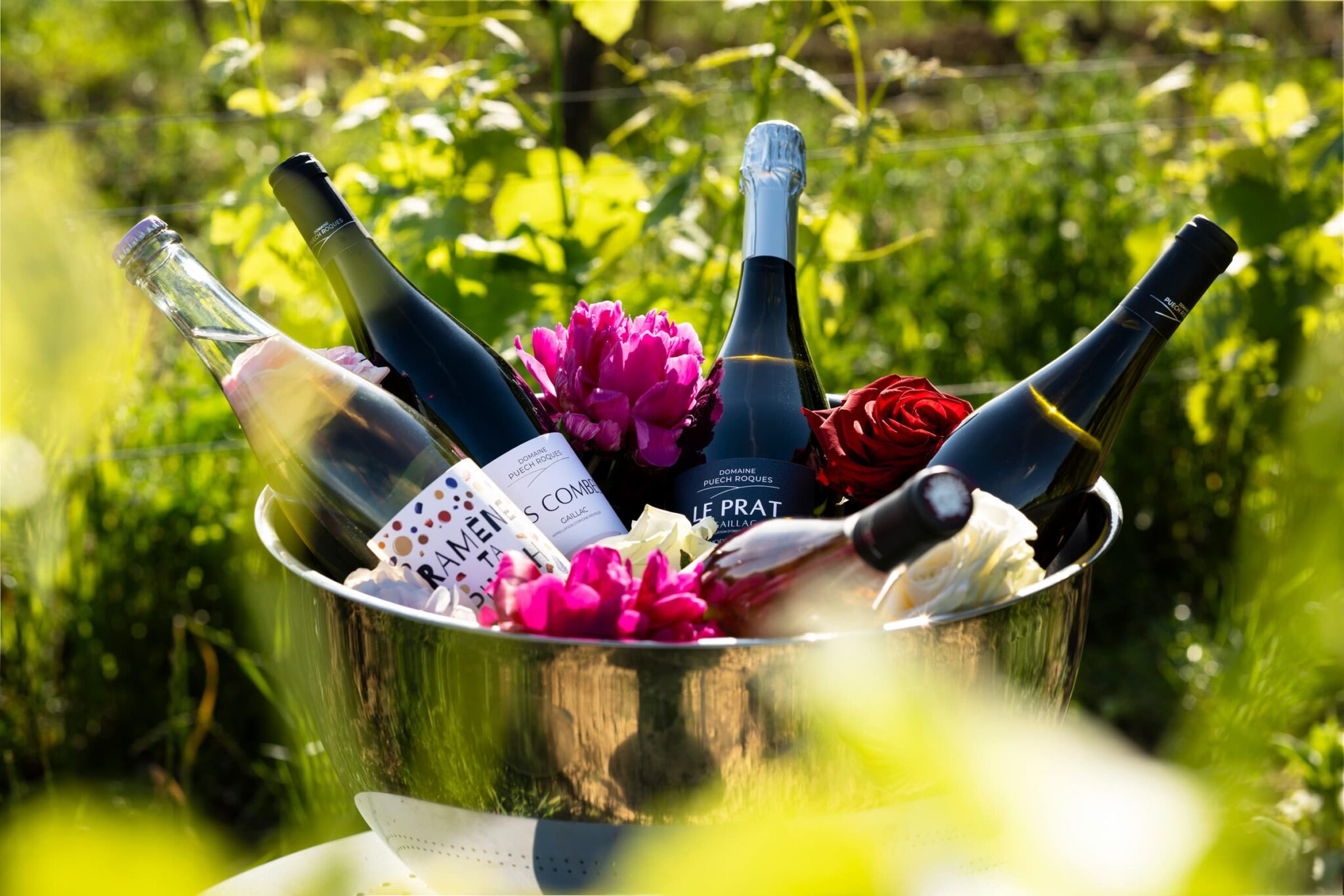 Domaine Puech Roques