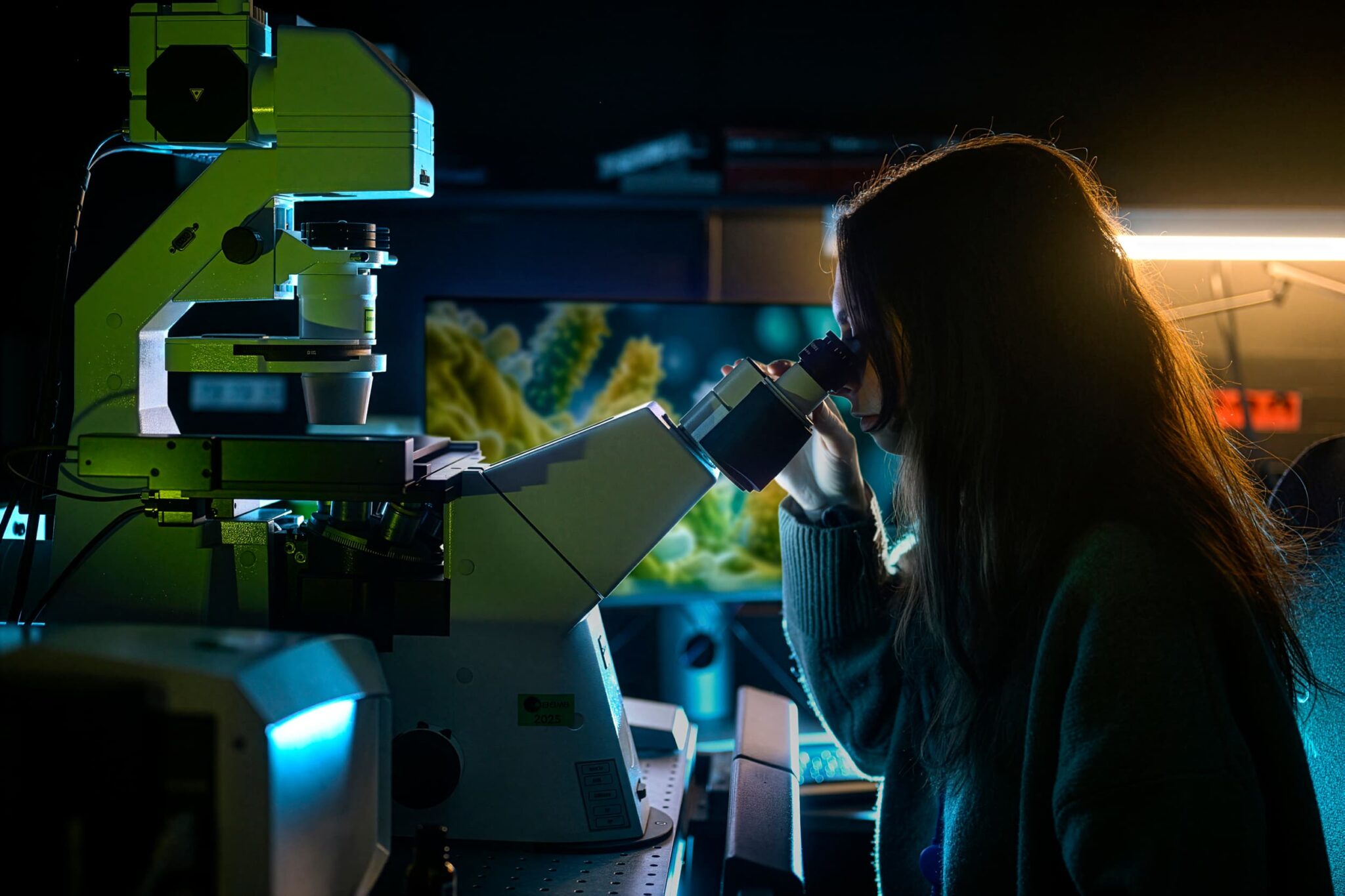 Institut Pasteur: expertise en biologie moléculaire et cellulaire, en microbiologie mais également en physique et mathématiques