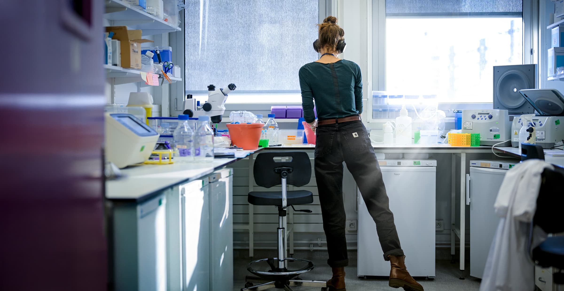 laboratoire de recherche scientifique; Institut Pasteur; maladies